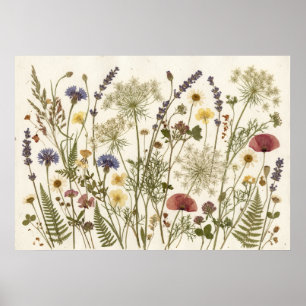 Arte de Herbario Botánico de Flores Silvestres Pre