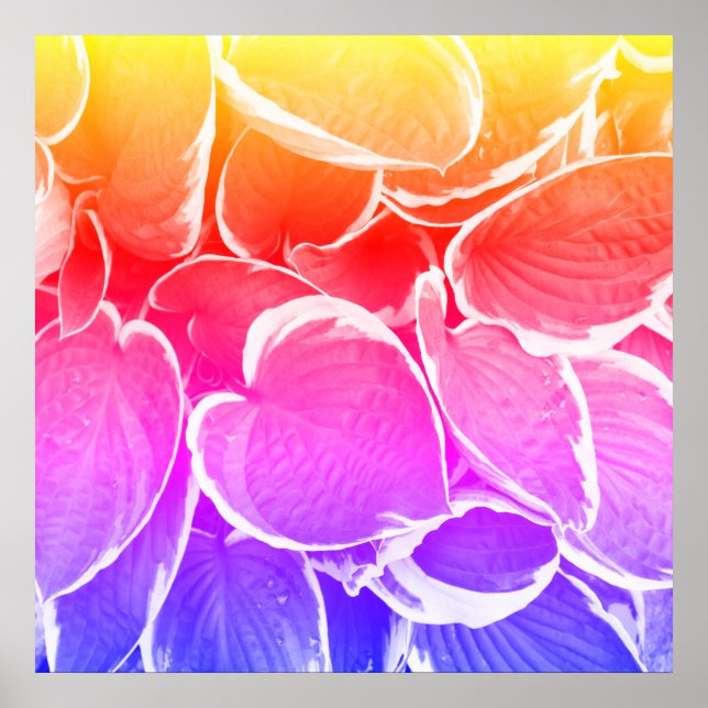 Arte de hermosas hojas (Frente)