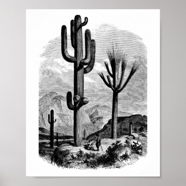 Arte de Ilustracion paisajístico del desierto del  (Frente)