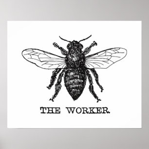 Arte de ilustración vintage de abeja trabajadora