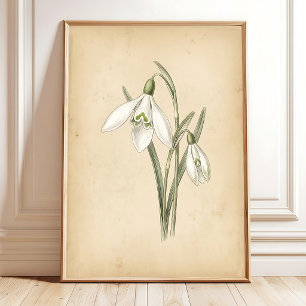 Arte de ilustración vintage de flor de campanilla
