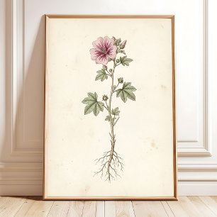 Arte de impresión de galería botánica de malva vin