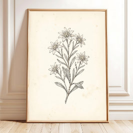 Arte de Impresión de Galería Botánica Edelweiss