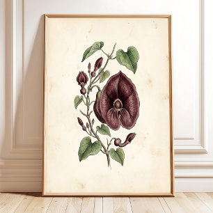 Arte de impresión de galería de la tubería del hol