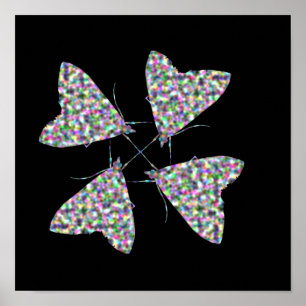 Arte de impresión de polilla multicolor
