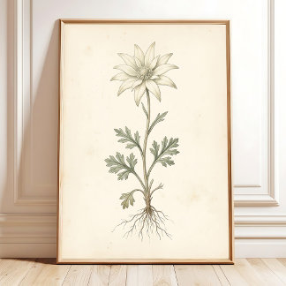 Arte de Impresión en Lienzo de Flor de Franela Bot