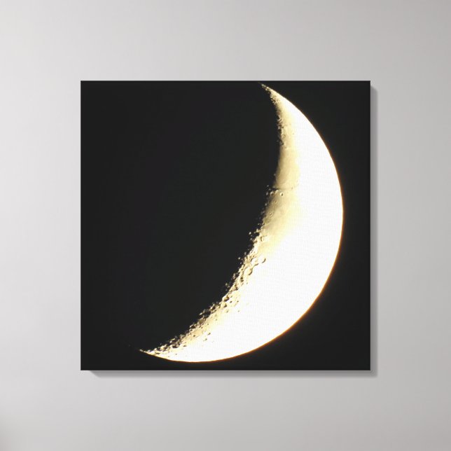 Arte de impresión en lienzo de fotografía de la lu (Anverso)