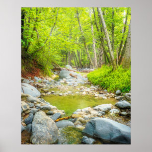 Arte de impresión fotográfica del paisaje natural 