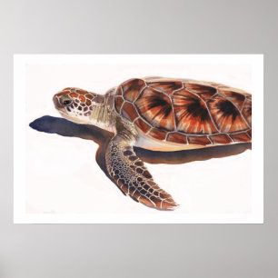 Arte de la acuarela de la fauna de la tortuga de