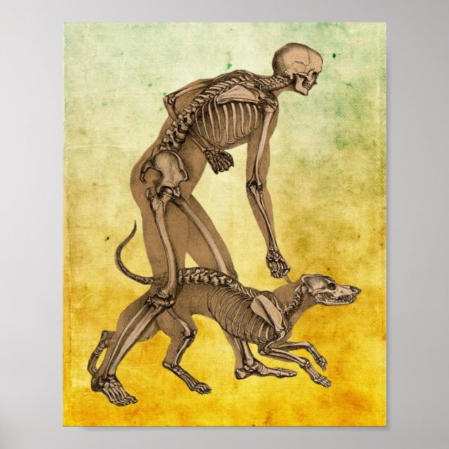 arte de la anatomía animal humana del hombre y el  (Frente)