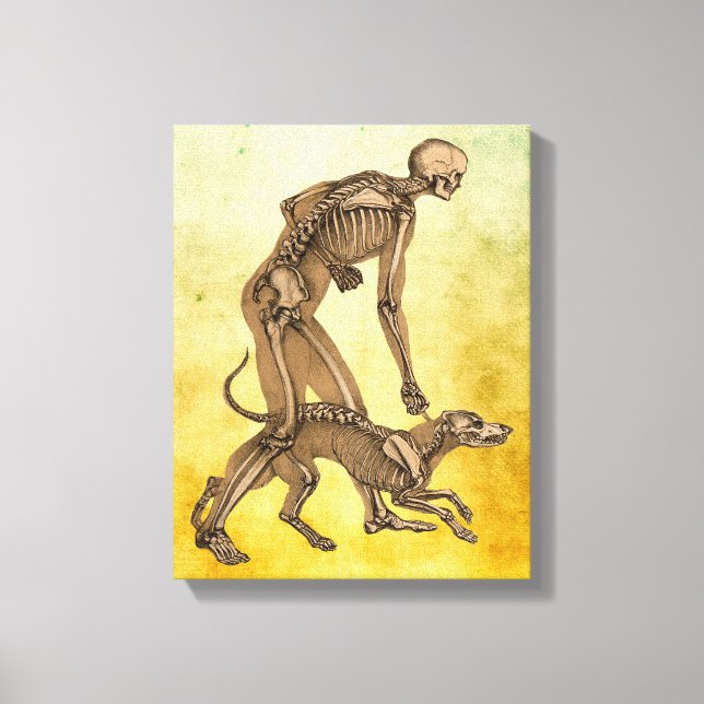 arte de la anatomía animal humana del hombre y el  (Anverso)