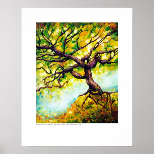 Arte de la cubierta de rayos X - Golden Chole Mapl (Frente)