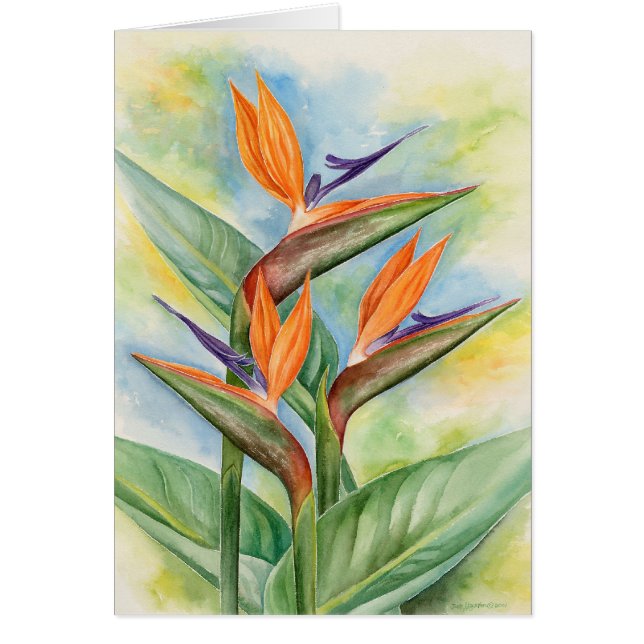 Arte de la flor de la ave del paraíso - multi (Frente)
