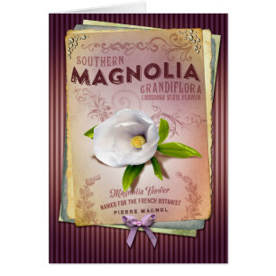 Arte de la flor de la magnolia de Luisiana de la