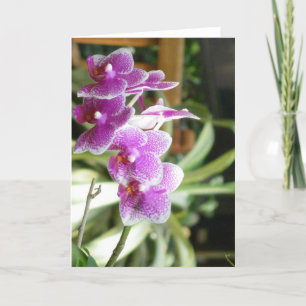 arte de la flor de la tarjeta de felicitación de