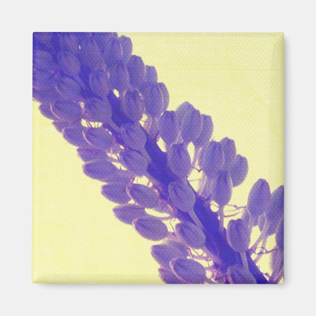 Arte de la flor del verano - imán (Frente)