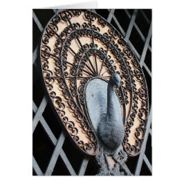 "Arte de la foto de la puerta del pavo real" -