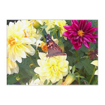 Arte de la mariposa