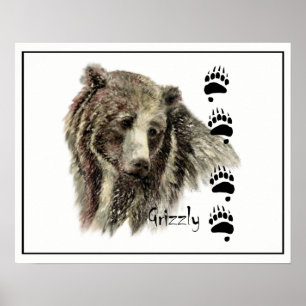 Arte de la naturaleza animal del oso grizzly de la