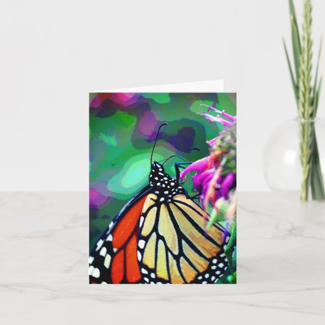 Arte de la naturaleza de la mariposa monarca (Anverso)