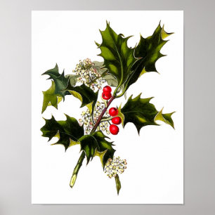Arte de la pared del acebo del navidad del poster