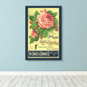 Arte de la portada del libro Vintage Guide to Rose