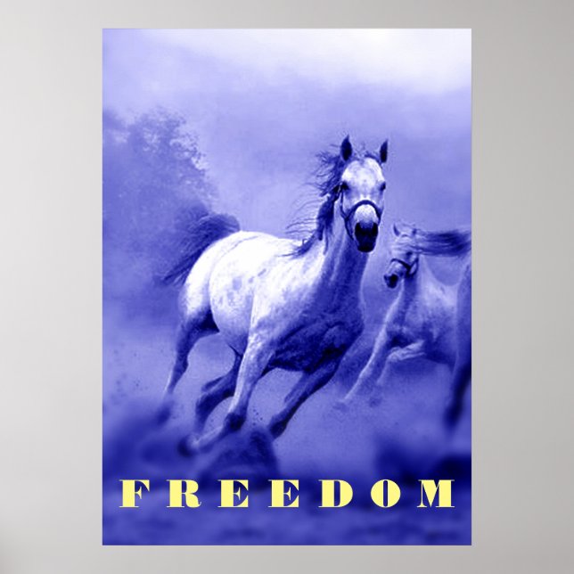 Arte de libertad motivacional de caballos salvajes (Frente)