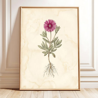 Arte de lienzo botánico Boho Delosperma