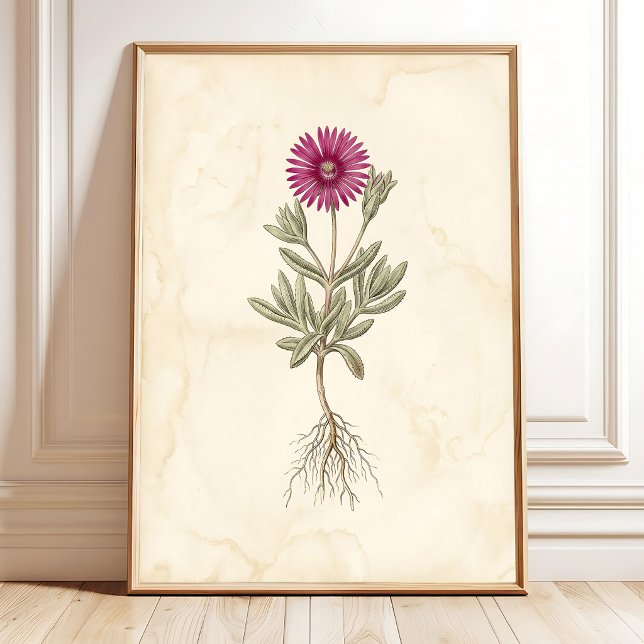 Arte de lienzo botánico Boho Delosperma (Subido por el creador)