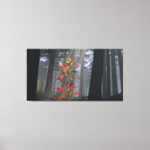 Arte de lienzo de 60" x 40" con imagen "Fledgling"