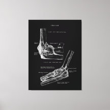 Arte de lienzo de anatomía conjunto Elbow