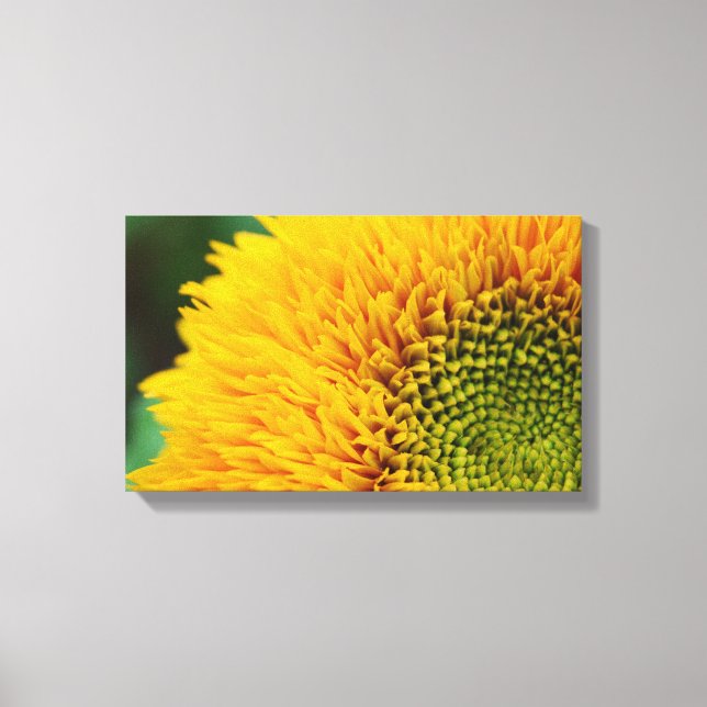 Arte de lienzo de girasol (Anverso)