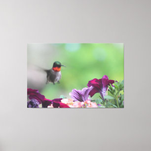 Arte de lienzo de Hummingbird Floral