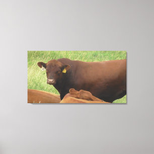 Arte de lienzo envuelto de fotografía de vaca del 