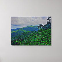 Arte de lienzo - Puerto Rico