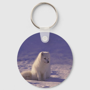 Arte de llavero de invierno de oso polar