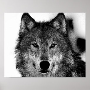 Arte de lobo gris en blanco y negro