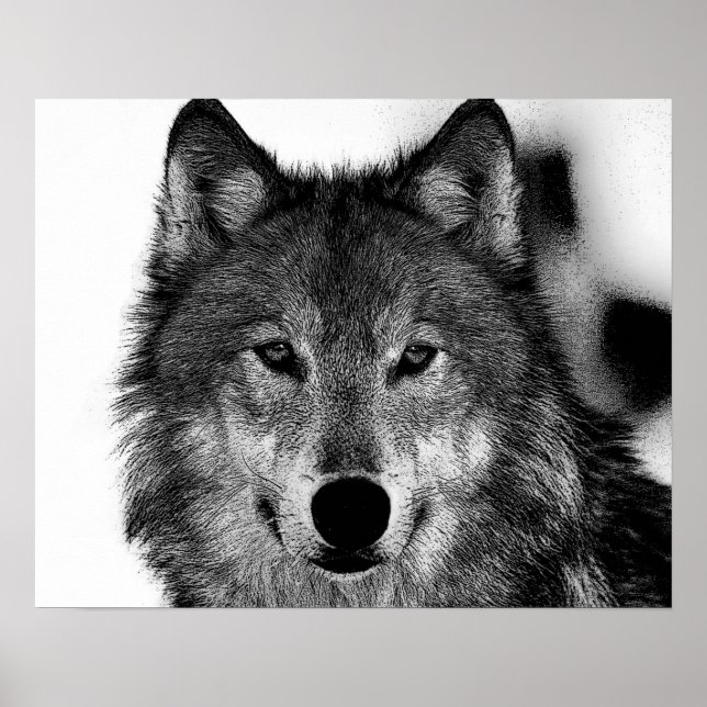 Arte de lobo gris en blanco y negro (Frente)