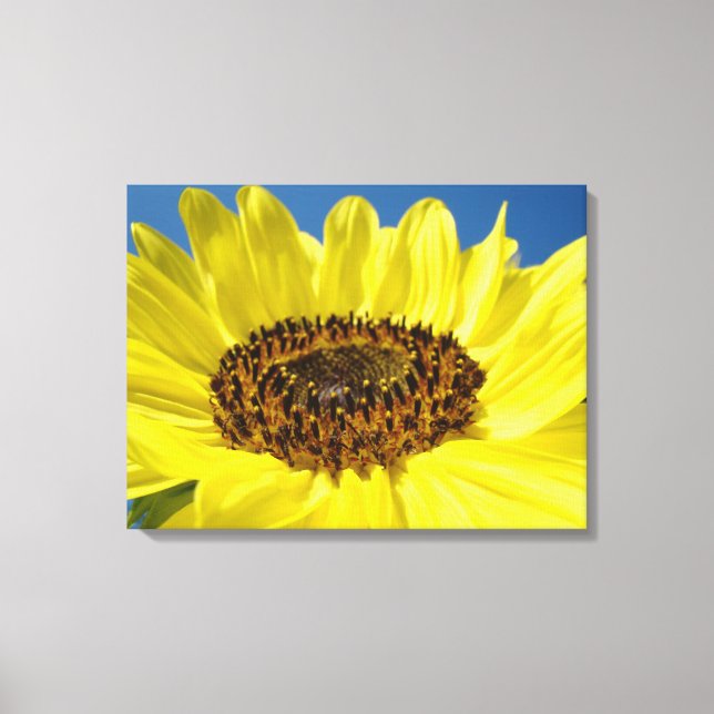 arte de lona de panel de girasol Lonas Envueldas (Anverso)