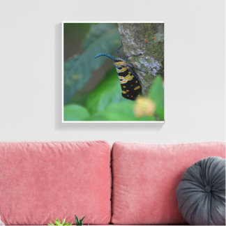Arte de Macro Suave de la Naturaleza en Impresión