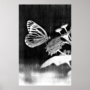Arte de mariposa   Blanco y negro