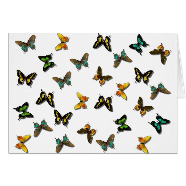 Arte de mariposas de colores (Anverso (Horizontal))