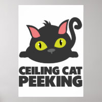 Arte de meme divertido de gato en el techo