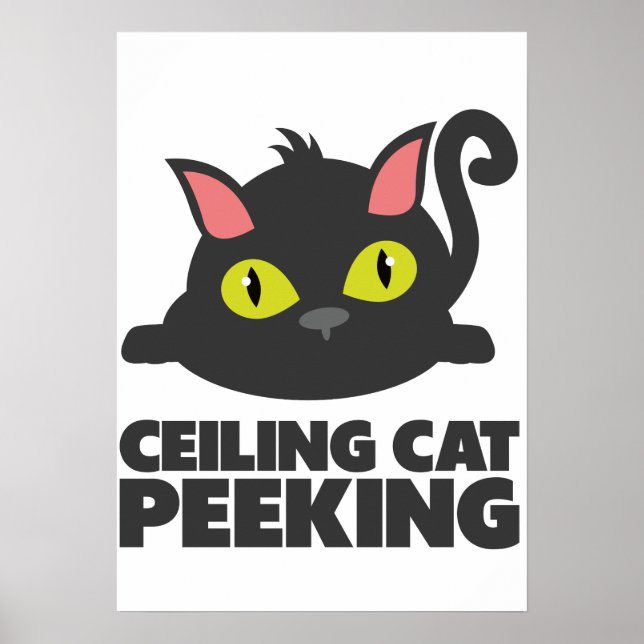 Arte de meme divertido de gato en el techo (Frente)