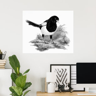 Arte de naturaleza de ave urraca curiosa acuarela