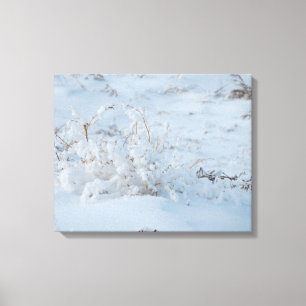 arte de nieve