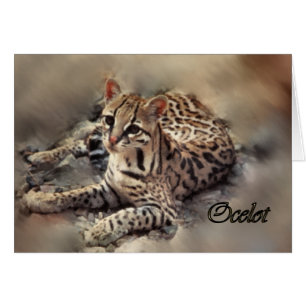 Arte de Ocelot