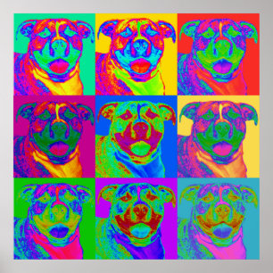 Arte de Op. Sys. Pitbull