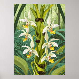Arte de Orquídea V24