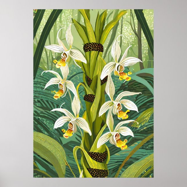 Arte de Orquídea V24 (Frente)